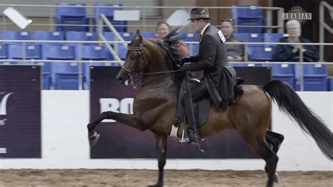 horse shows 2023.